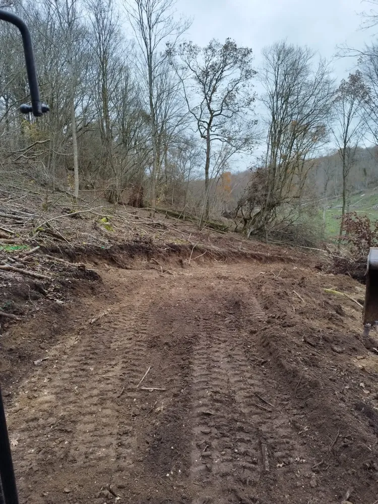 travaux forestiers (2)