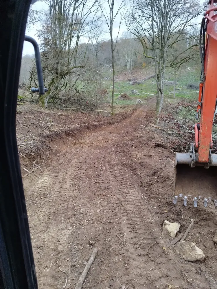 travaux forestiers (4)