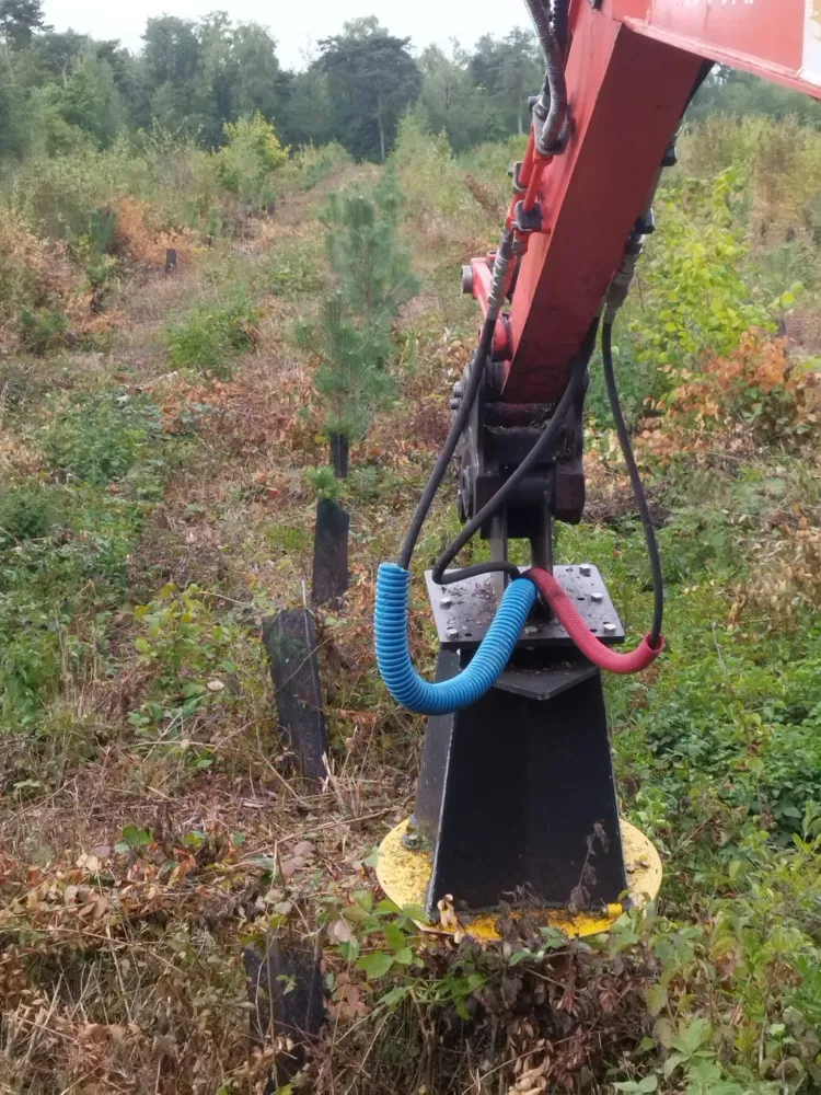 travaux forestiers (7)