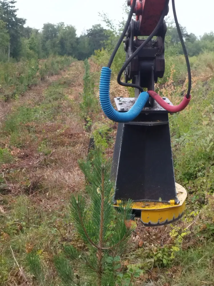 travaux forestiers (8)